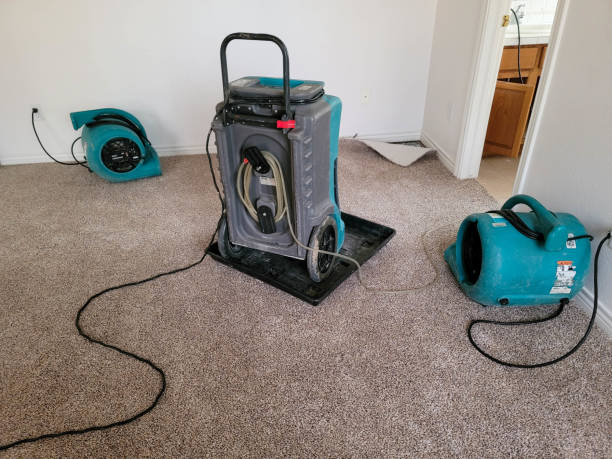  Cottage Lake, WA Water damage restoration Pros