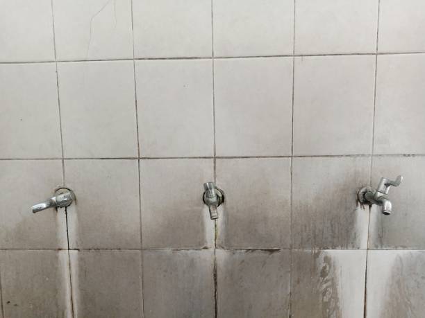Best Fire Damage Restoration  in Cottage Lake, WA