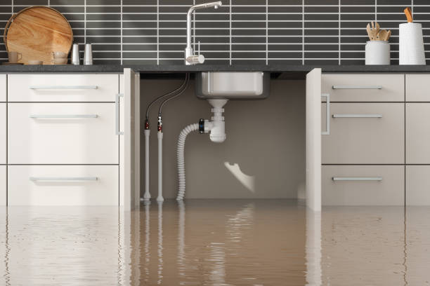 Water damage restoration insurance claims in WA