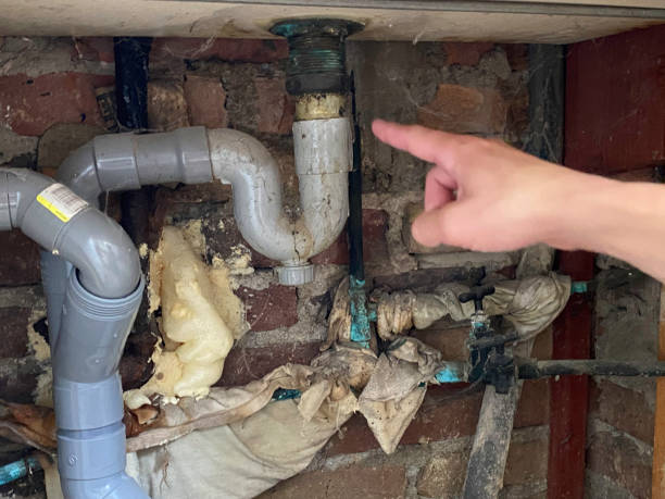 Best Water damage restoration cost  in Cottage Lake, WA