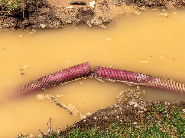 Best Water damage restoration near me  in Cottage Lake, WA