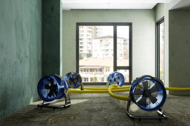 Best Water damage restoration near me  in Cottage Lake, WA